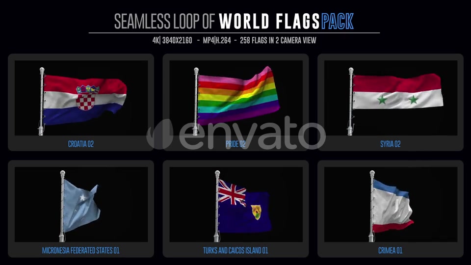 Seamless Loop Of World Flags Footages Pack + Alpha Videohive 28040319 Motion Graphics Image 10