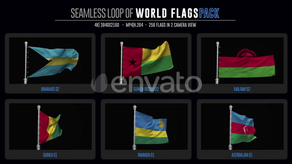 Seamless Loop Of World Flags Footages Pack + Alpha Videohive 28040319 Motion Graphics Image 4