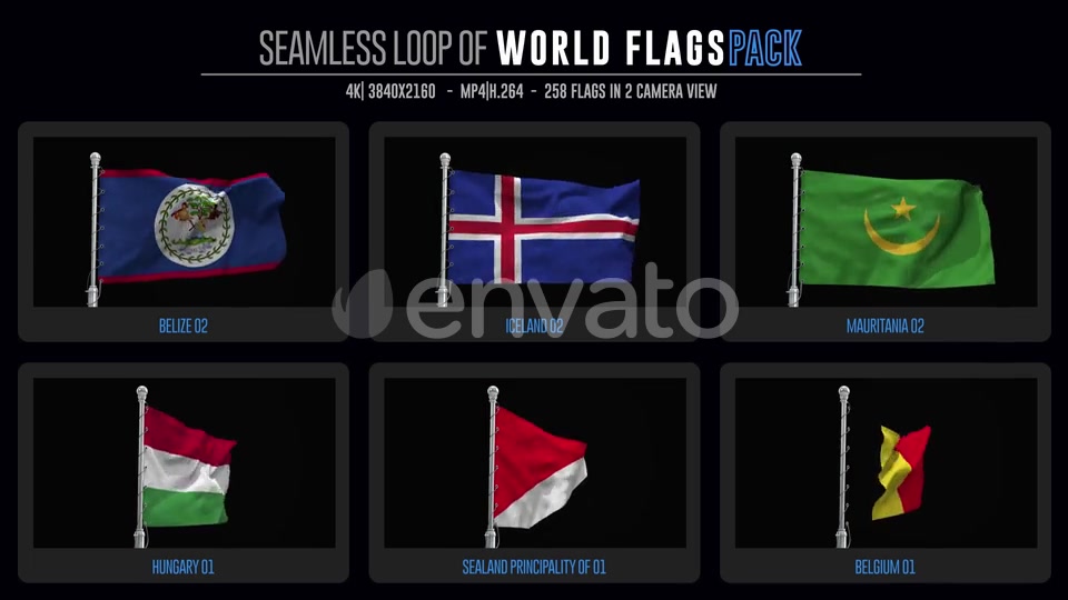 Seamless Loop Of World Flags Footages Pack + Alpha Videohive 28040319 Motion Graphics Image 5