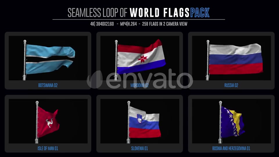 Seamless Loop Of World Flags Footages Pack + Alpha Videohive 28040319 Motion Graphics Image 6