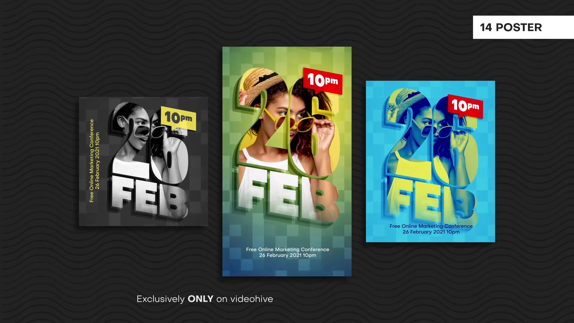 Seamless Loop Posters Videohive 29555824 After Effects Image 11