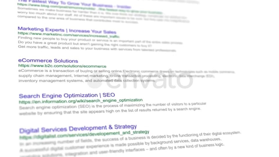 Search Engine Results - Download Videohive 21557063