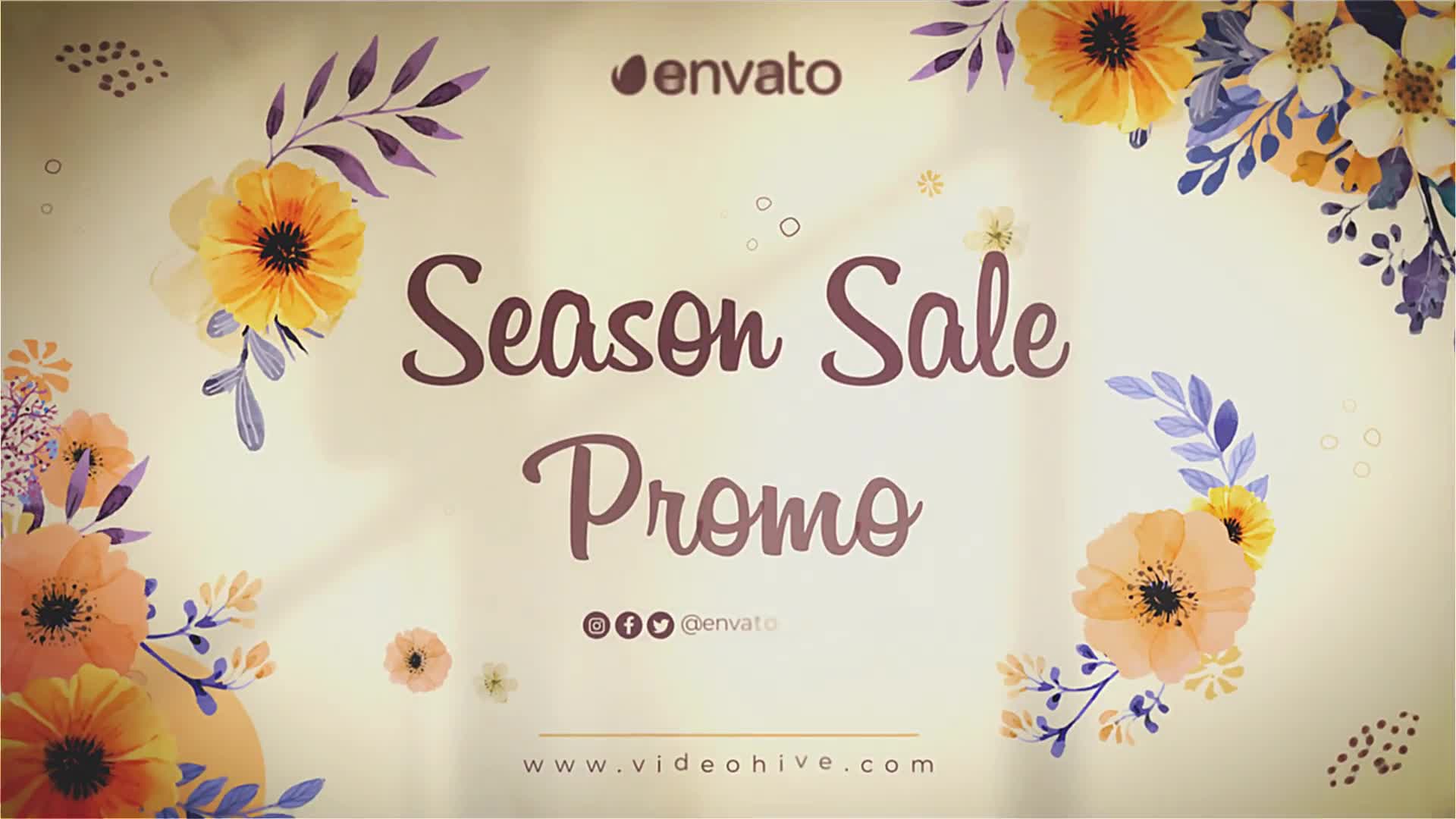 Season Sale Promo Videohive 38060373 After Effects Image 1