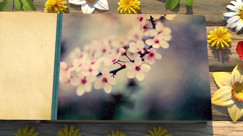 Seasons Change Photo Album Videohive 21109571 After Effects Image 8