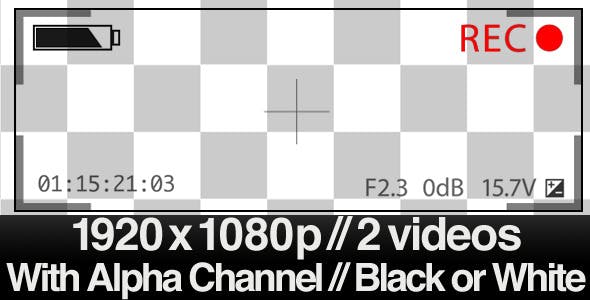 Series of 2 Video Camera Display Viewfinder - Download Videohive 403733