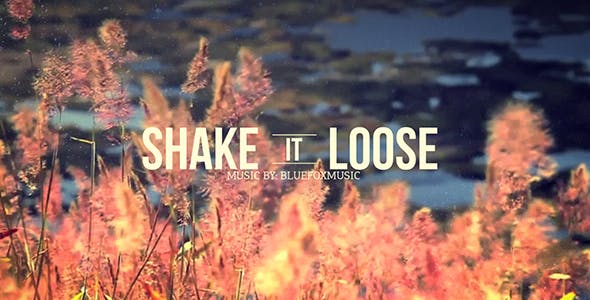 Shake It Loose - Download Videohive 7947492