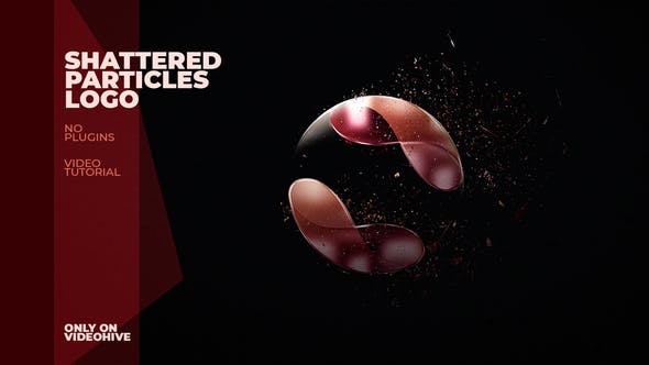Shattered Particles Logo - Download 24967762 Videohive