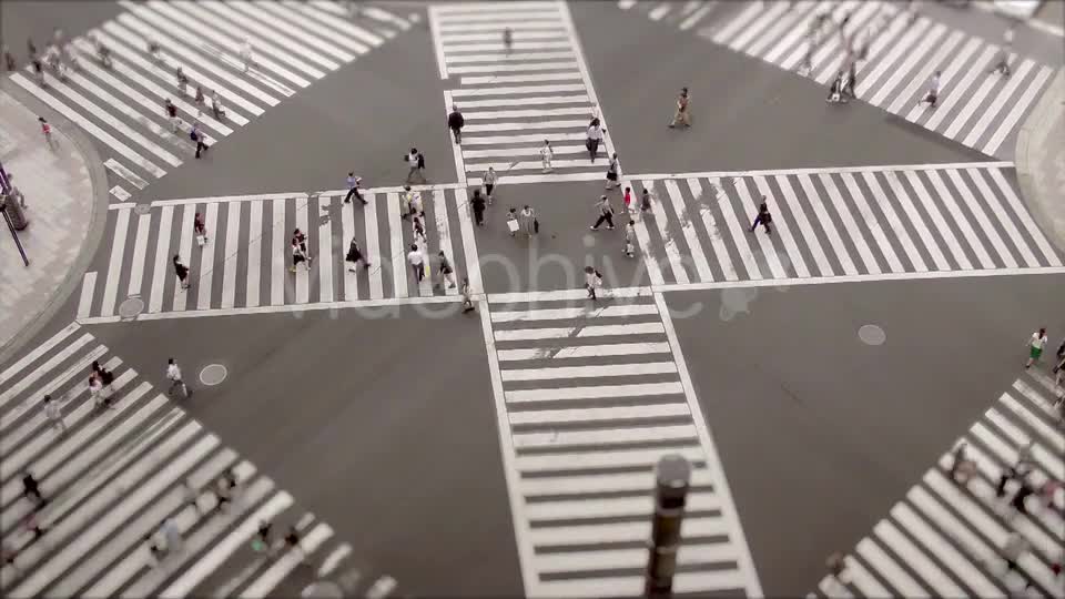 Shibuya Crossing, Time Lapse  Videohive 11835202 Stock Footage Image 1