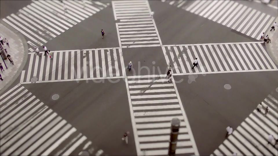 Shibuya Crossing, Time Lapse  Videohive 11835202 Stock Footage Image 6