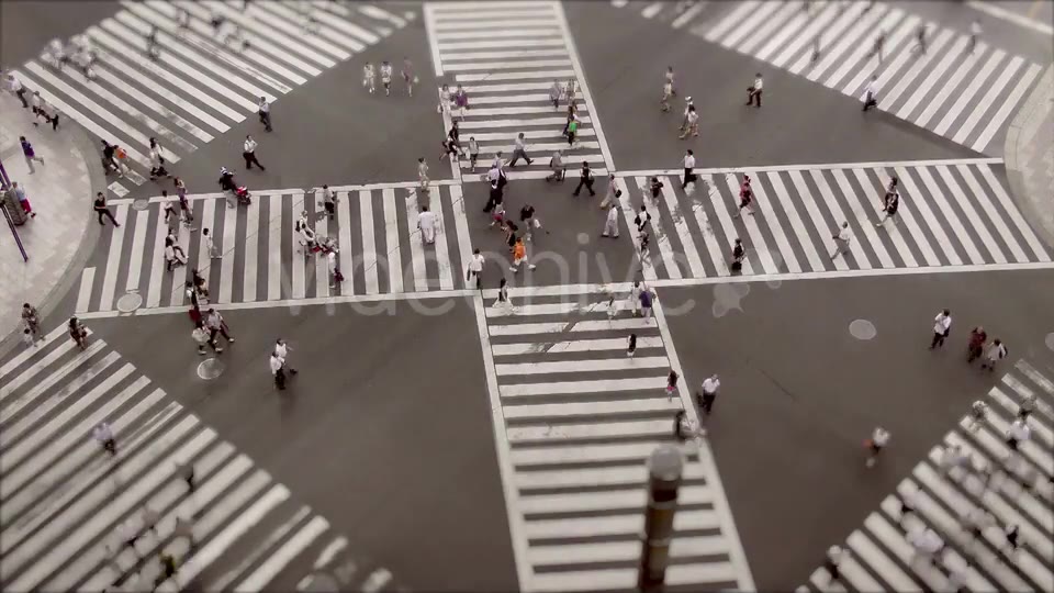 Shibuya Crossing, Time Lapse  Videohive 11835202 Stock Footage Image 7