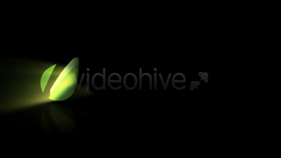 Shine Reveal - Download Videohive 95273