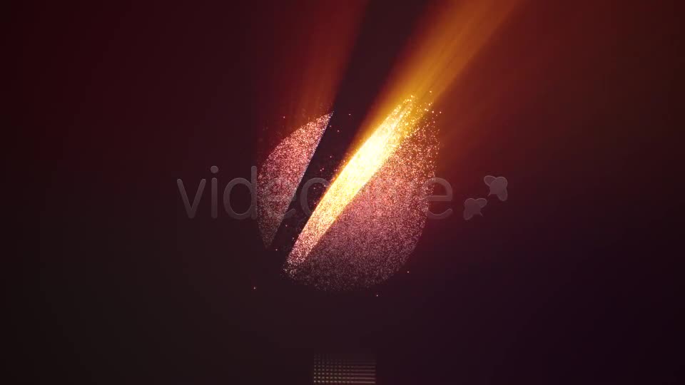 Shiny Logo With Elegant Fine Particles - Download Videohive 2332405