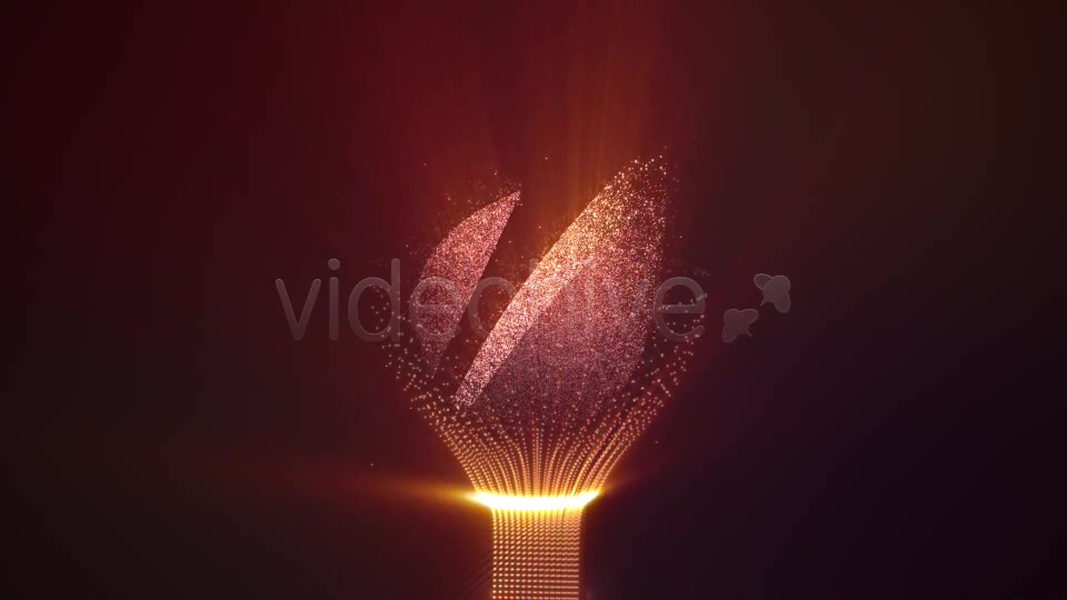 Shiny Logo With Elegant Fine Particles - Download Videohive 2332405