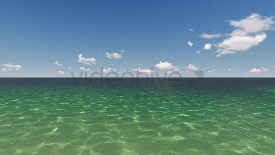 Shoal Water - Download Videohive 7968237