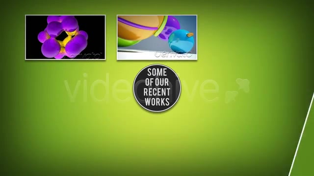Short Company Promotion Videohive 2551164 After Effects Image 10