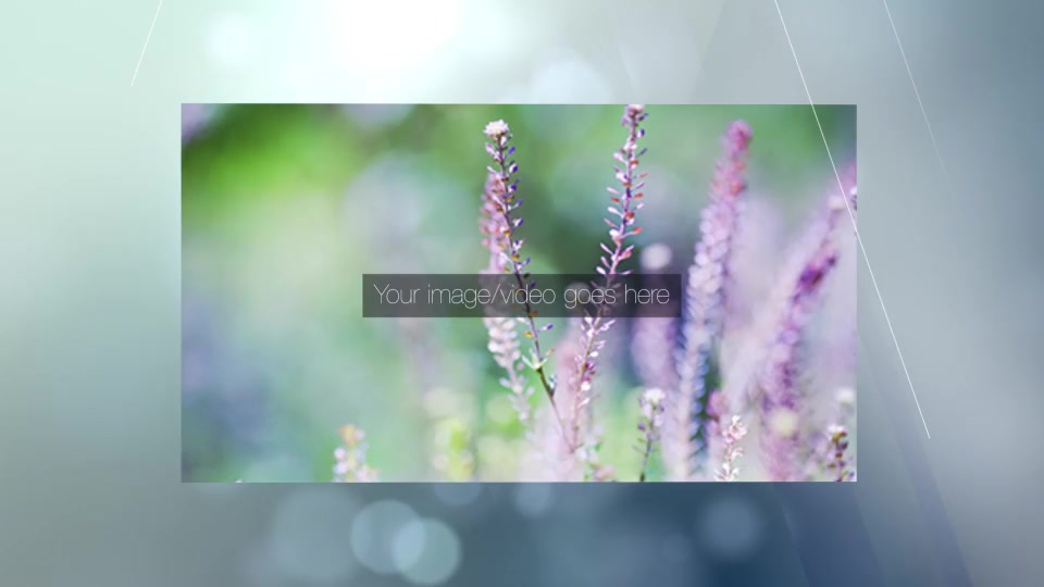 Showcase Crystal - Download Videohive 5993709