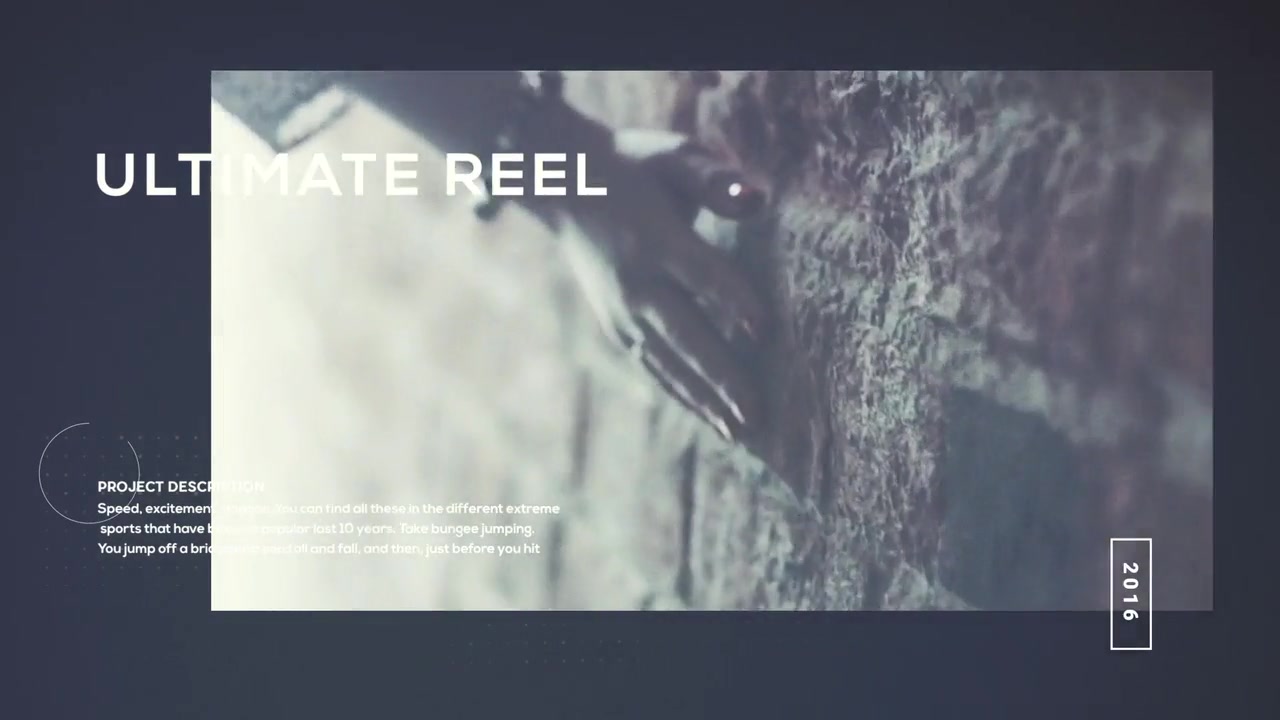 Showreel / Multipurpose Promo Videohive 18298404 After Effects Image 4