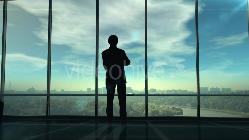 Silhouette Of Man & Corporate Infographics - Download Videohive 20248234