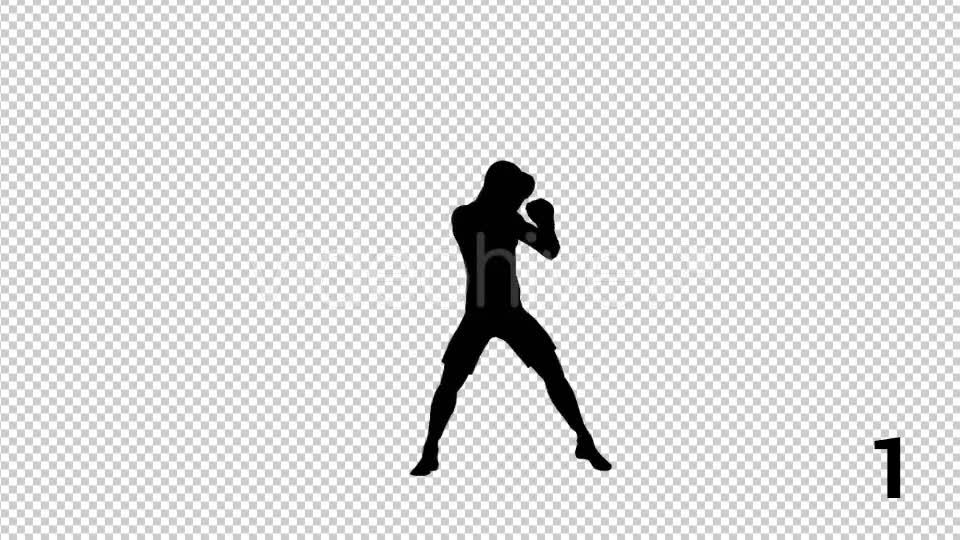 Silhouettes Of Boxer 3 Scene - Download Videohive 20685551