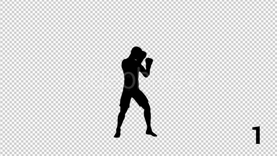 Silhouettes Of Boxer 3 Scene - Download Videohive 20685551