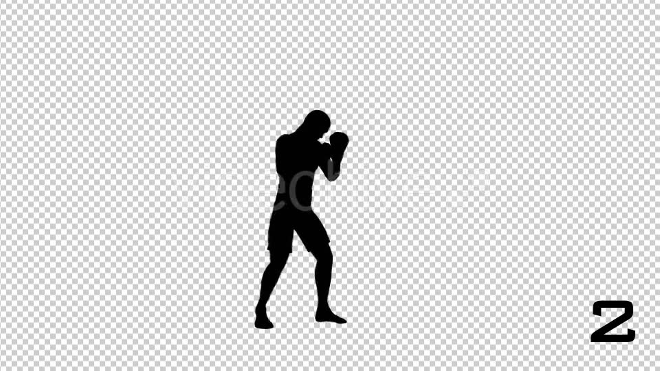 Silhouettes Of Boxer 3 Scene - Download Videohive 20685551