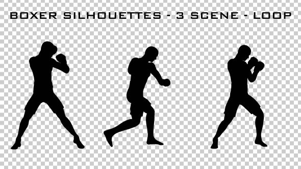 Silhouettes Of Boxer 3 Scene - Download Videohive 20685551