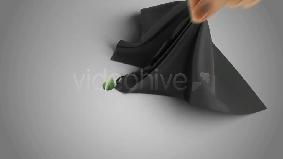 Silk Shawl Logo Reveal - Download Videohive 841303