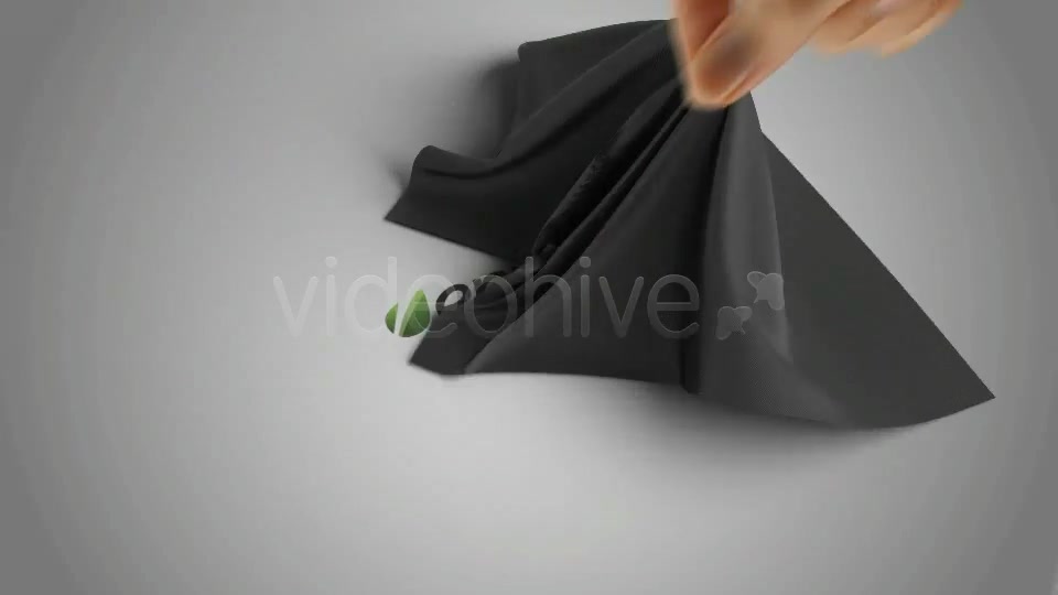 Silk Shawl Logo Reveal - Download Videohive 841303