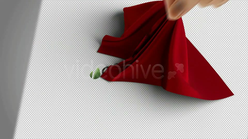 Silk Shawl Logo Reveal - Download Videohive 841303