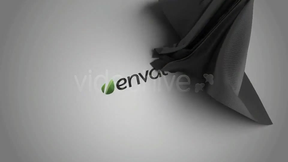 Silk Shawl Logo Reveal - Download Videohive 841303