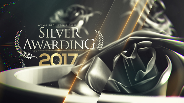 Silver Awarding Pack - Download Videohive 20427314