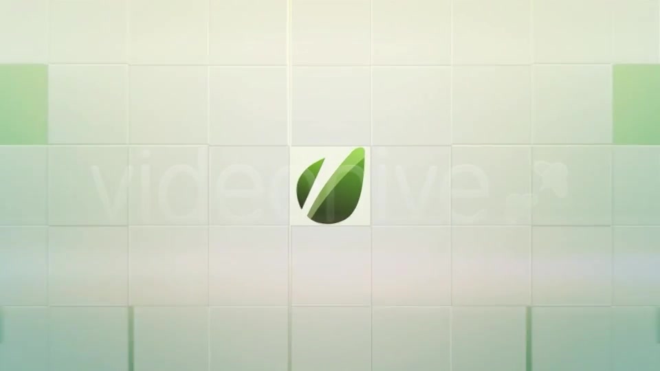 Simple And Clean Logo Videohive 2245553 After Effects Image 3
