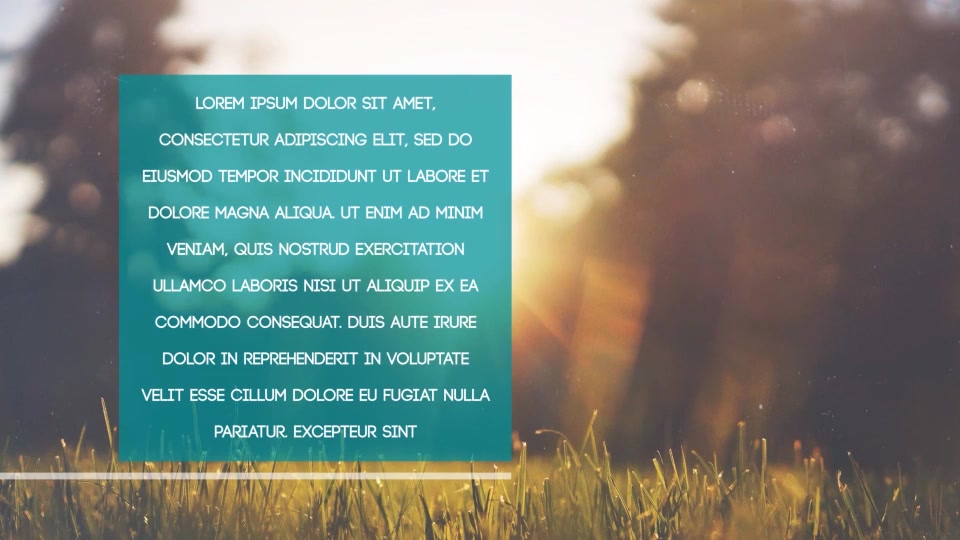 Simple Clean Lower Thirds Videohive 10800179 After Effects Image 7