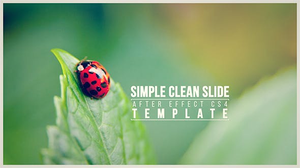 Simple Clean Slide - Download 13527869 Videohive