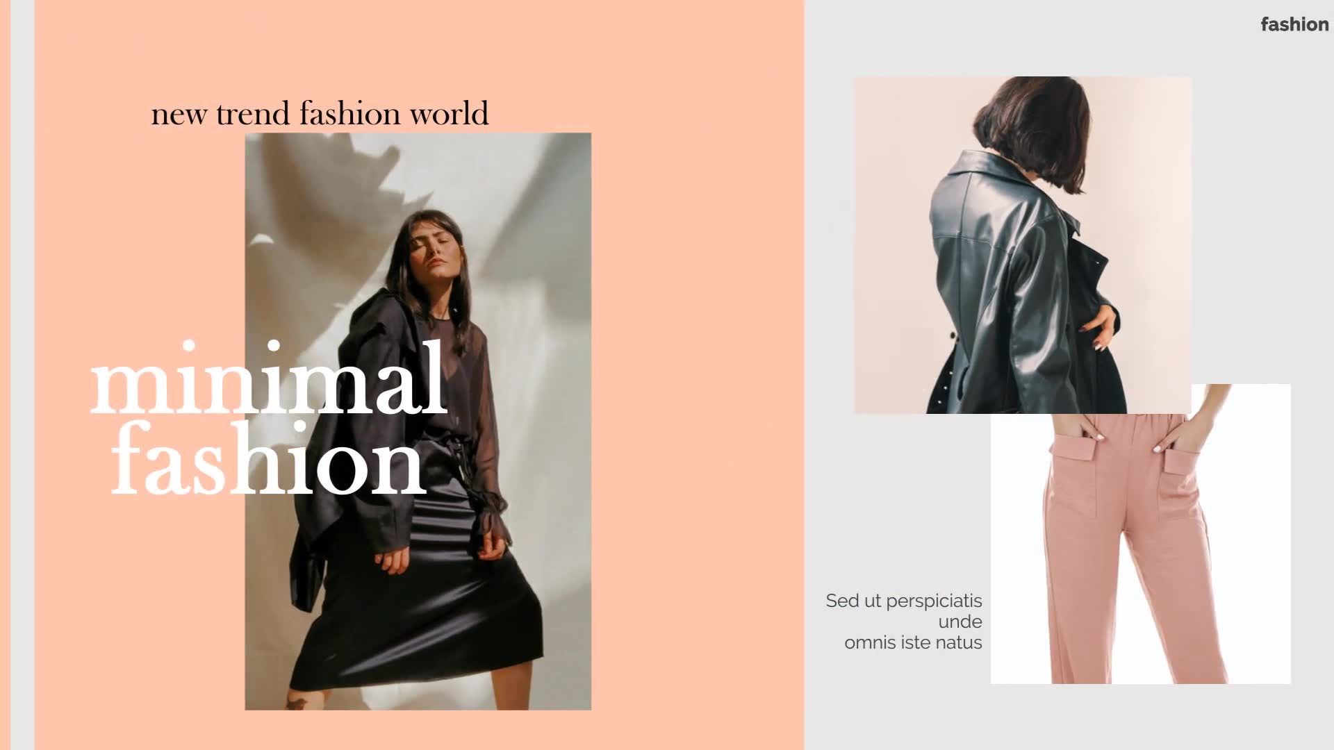 Simple Fashion Slideshow Videohive 39589480 After Effects Image 7