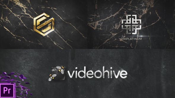 Simple Logo Reveal - Download Videohive 33822467