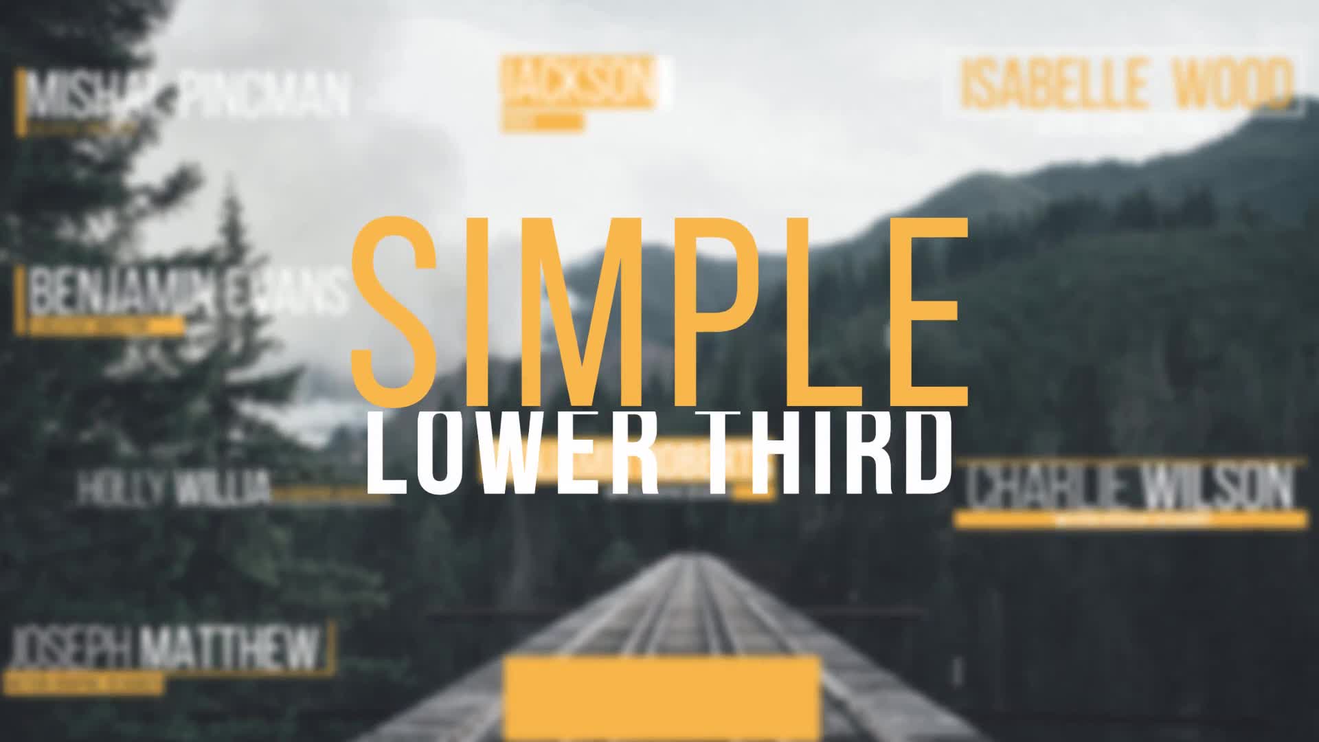 Simple Lower Third Videohive 15379815 After Effects Image 1