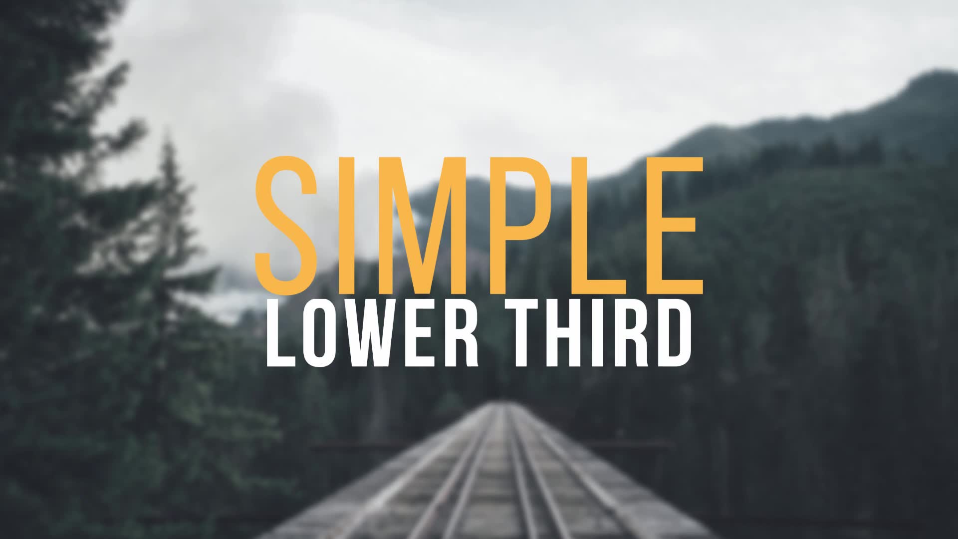 Simple Lower Third Videohive 15379815 After Effects Image 2