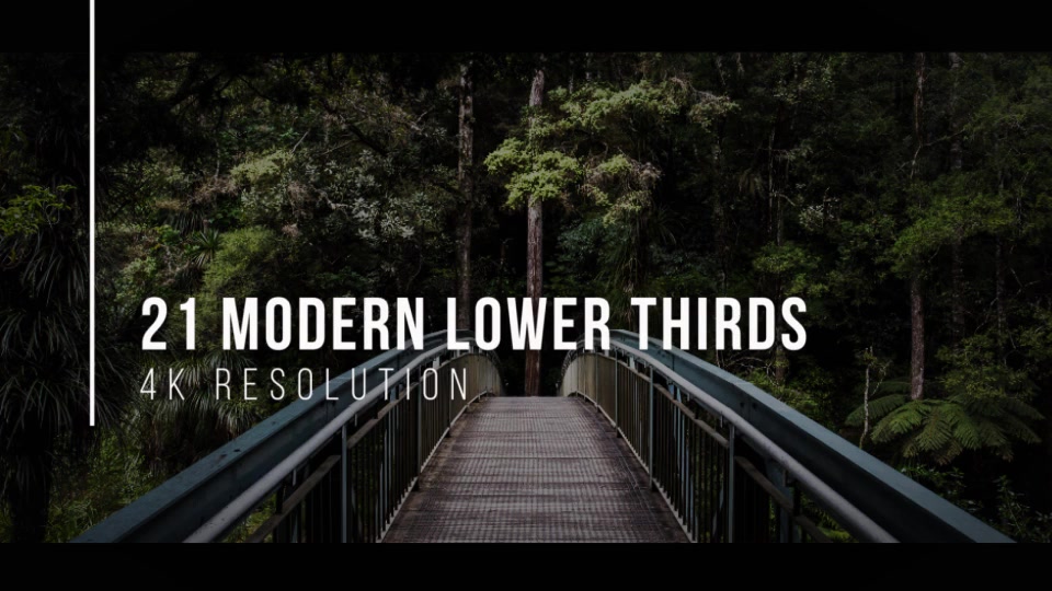 Simple Lower Thirds For FCPX - Download Videohive 19700204