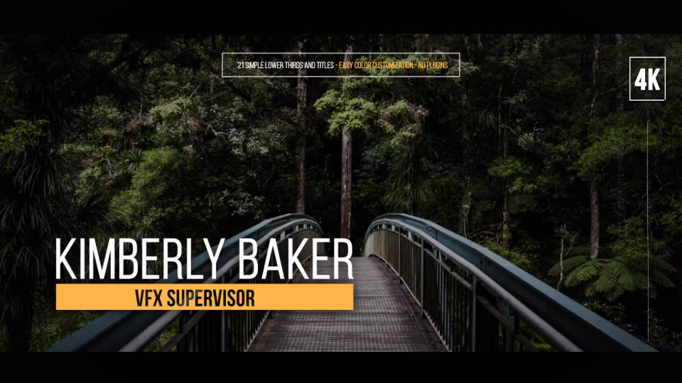 Simple Lower Thirds For FCPX - Download Videohive 19700204