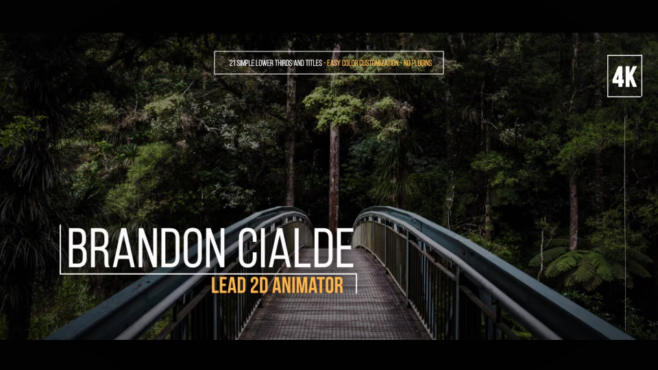 Simple Lower Thirds For FCPX - Download Videohive 19700204