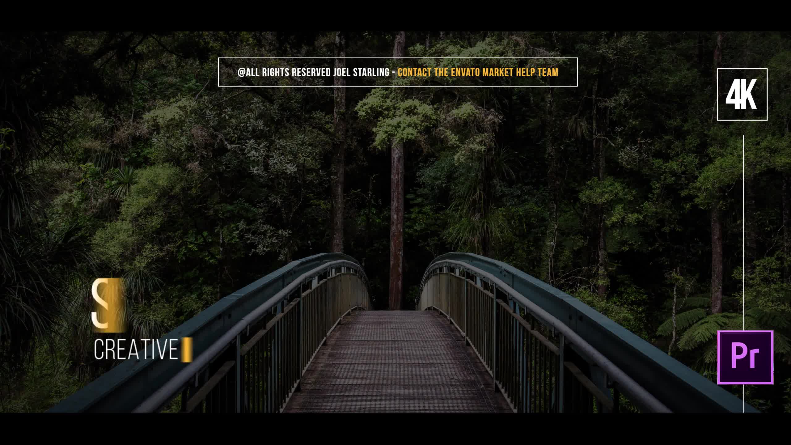 Simple Lower Thirds for Premiere - Download Videohive 21818470