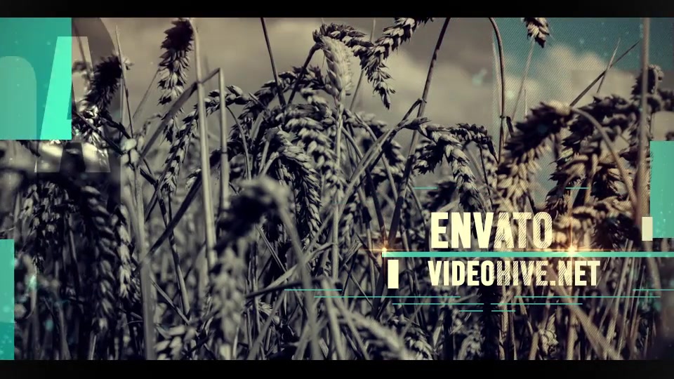 Simple Opener - Download Videohive 16311480