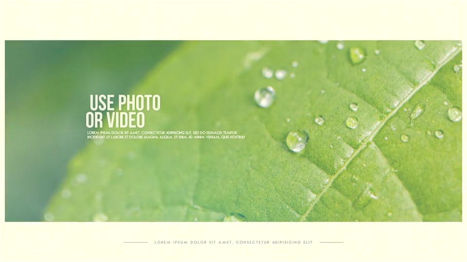 Simple Scrolling Slide Videohive 14029279 After Effects Image 3