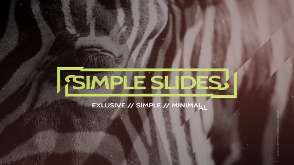 Simple Slides Project - Download 13990068 Videohive