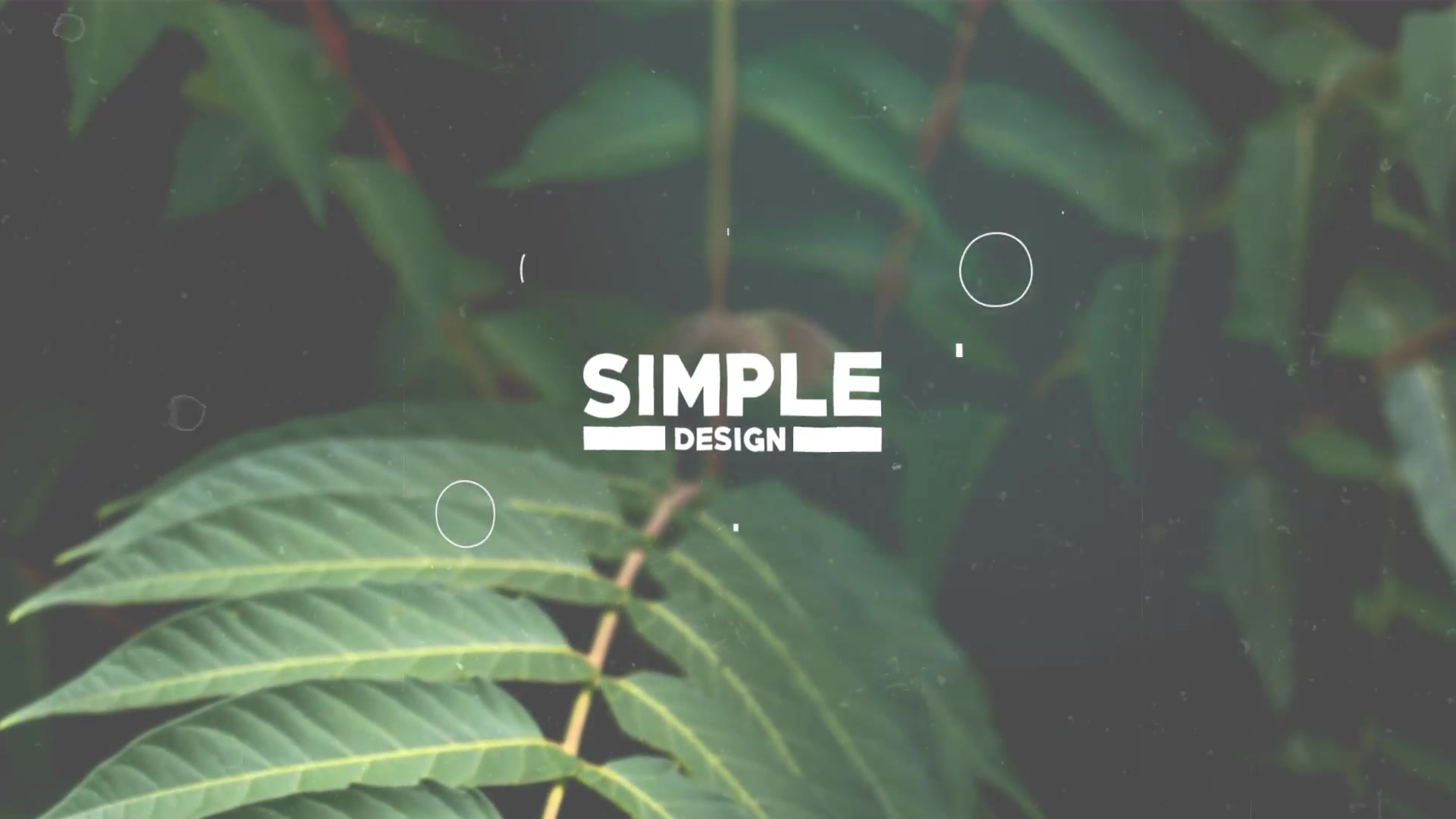 Simple Slideshow Videohive 18058107 After Effects Image 4
