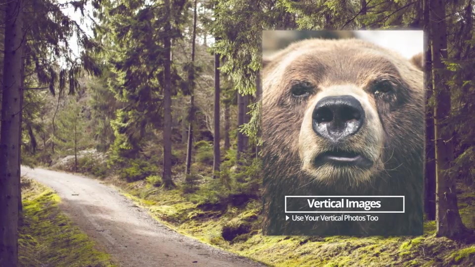 Simple Slideshow - Download Videohive 10731099