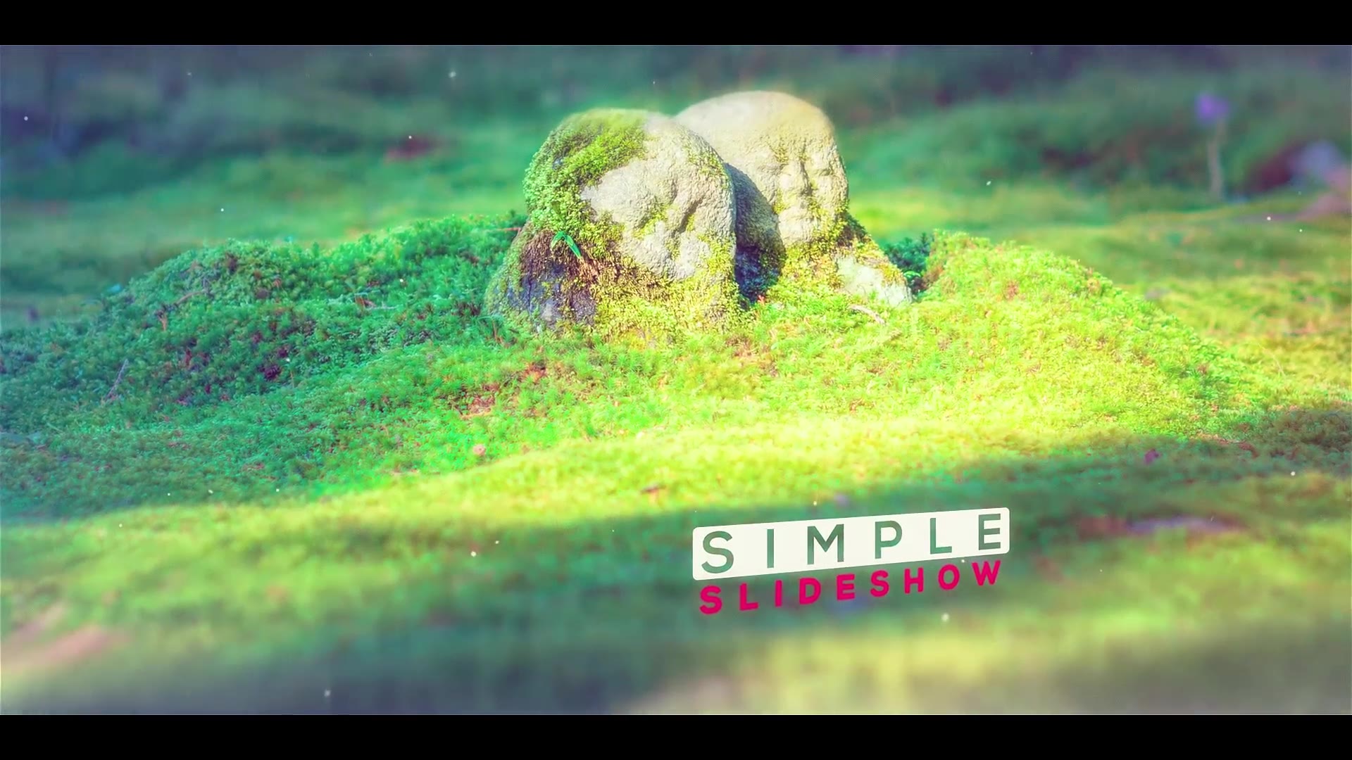 Simple Slideshow - Download Videohive 19821820