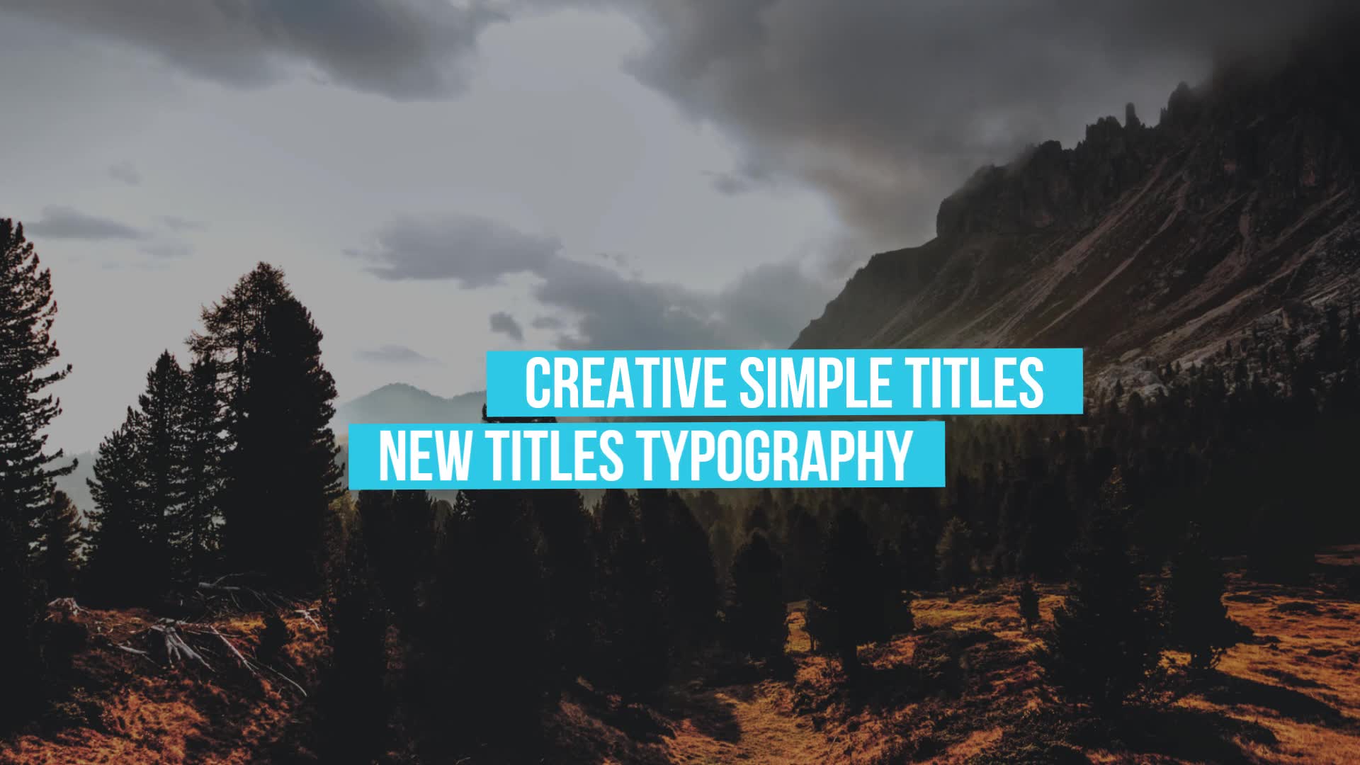 Simple Titles | After Effects Videohive 37222909 After Effects Image 9