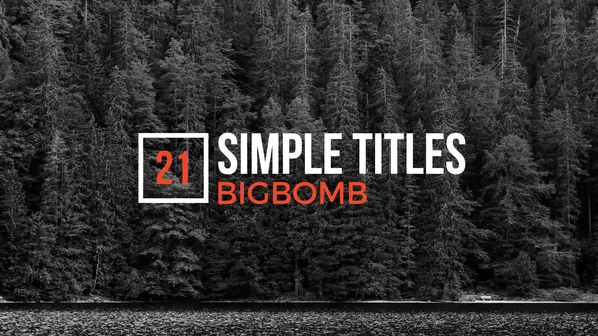 Simple Titles - Download Videohive 20137446